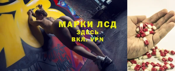 шишки Алзамай
