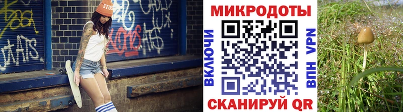 Псилоцибиновые грибы Cubensis  Копейск 