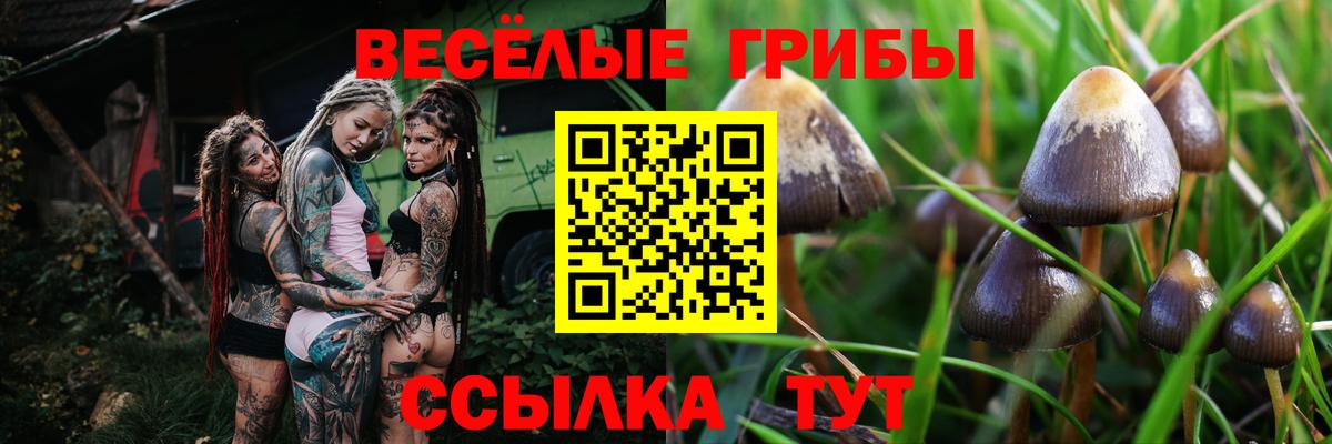 Псилоцибиновые грибы прущие грибы Копейск